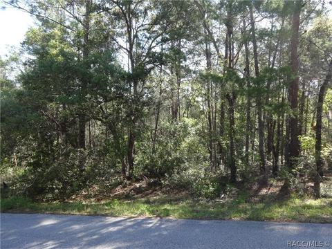 3001 N Hamlin Ter, Hernando, FL 34442 photo 2