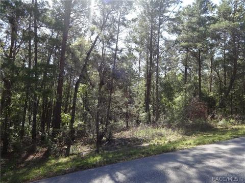 3001 N Hamlin Ter, Hernando, FL 34442 photo 4