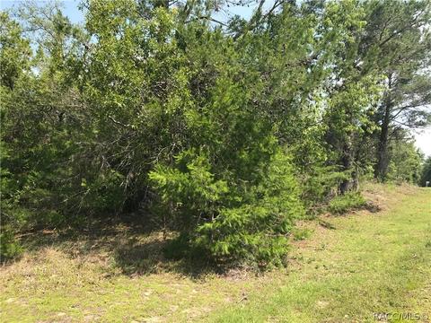 3848 N Monadnock Rd, Hernando, FL 34442 photo 3