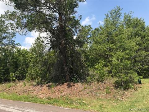3848 N Monadnock Rd, Hernando, FL 34442 photo 2