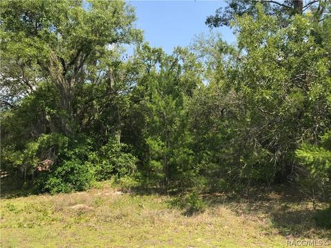 3848 N Monadnock Rd, Hernando, FL 34442 photo 4