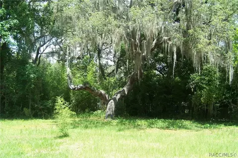 4691 E Harvard Dr, Hernando, FL 34442 photo 18