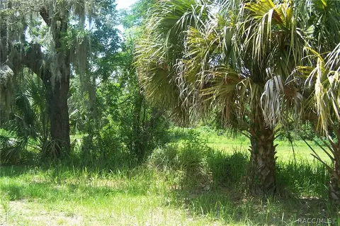 4691 E Harvard Dr, Hernando, FL 34442 photo 20