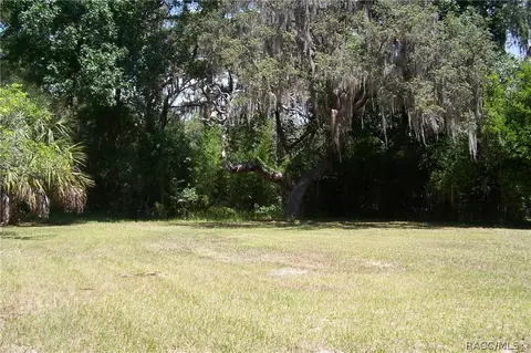 4691 E Harvard Dr, Hernando, FL 34442 photo 21