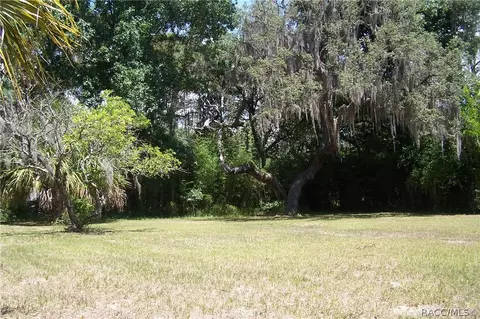 4691 E Harvard Dr, Hernando, FL 34442 photo 22