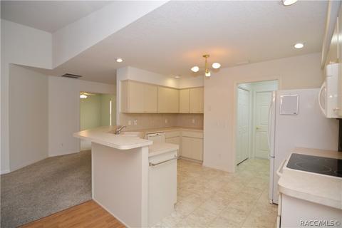 4592 N Webster Island Ter, Hernando, FL 34442 photo 10