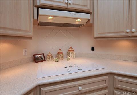 71 E Joplin Ct, Hernando, FL 34442 photo 15