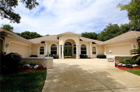 71 E Joplin Ct, Hernando, FL 34442 photo 1