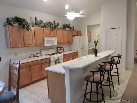 949 W Skyview Crossing Dr, Hernando, FL 34442 photo 14