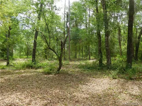 5526 N Tramway Pt, Hernando, FL 34442 photo 32