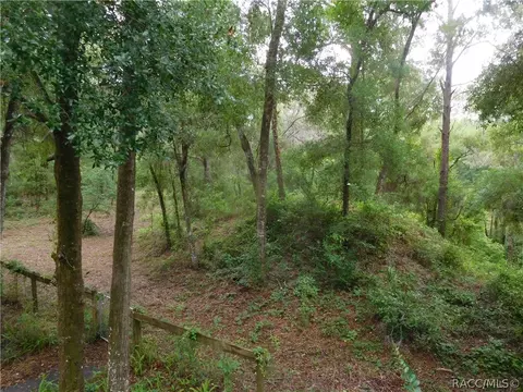 5526 N Tramway Pt, Hernando, FL 34442 photo 31
