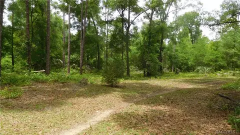5526 N Tramway Pt, Hernando, FL 34442 photo 30