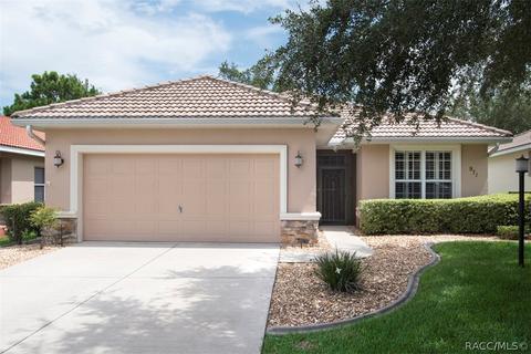 971 W Skyview Crossing Dr, Hernando, FL 34442 photo 8