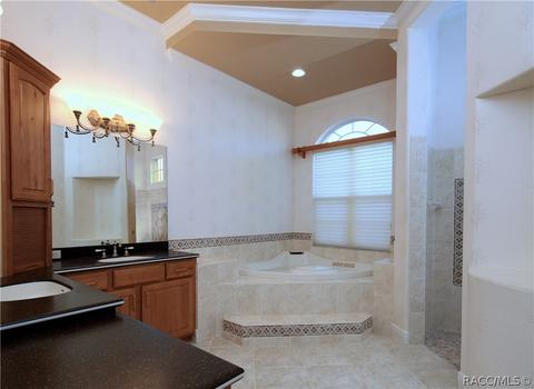 1733 N Sky Glen Path, Hernando, FL 34442 photo 20