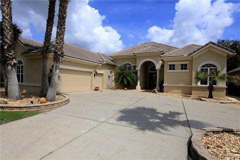 1733 N Sky Glen Path, Hernando, FL 34442 photo 1