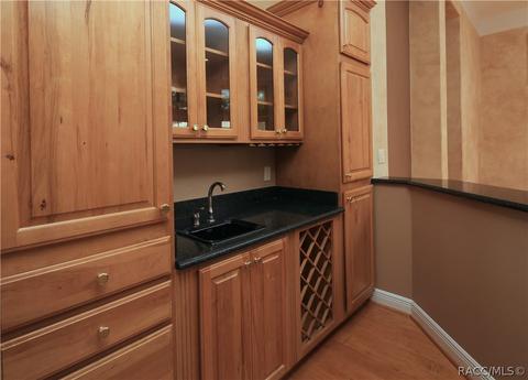 1733 N Sky Glen Path, Hernando, FL 34442 photo 17