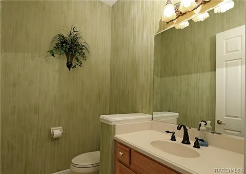 1733 N Sky Glen Path, Hernando, FL 34442 photo 26