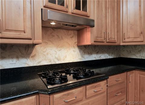 1733 N Sky Glen Path, Hernando, FL 34442 photo 13