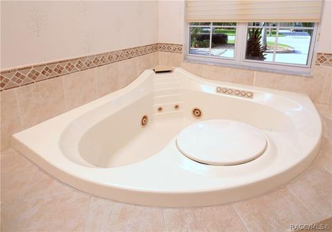 1733 N Sky Glen Path, Hernando, FL 34442 photo 22