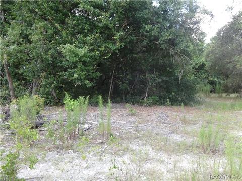 3964 E Peggy St, Hernando, FL 34442 photo 2