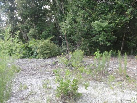 3964 E Peggy St, Hernando, FL 34442 photo 1