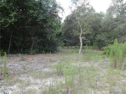 3964 E Peggy St, Hernando, FL 34442 photo 3