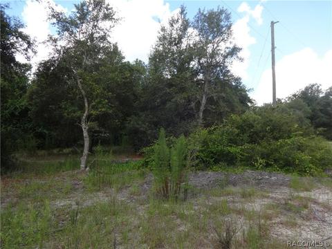 3964 E Peggy St, Hernando, FL 34442 photo 4