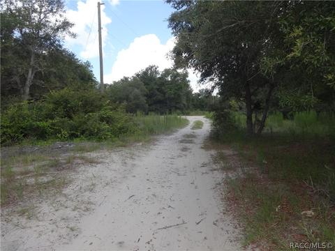 3964 E Peggy St, Hernando, FL 34442 photo 6