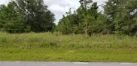 1696 E Westgate Ln, Hernando, FL 34442 photo 1
