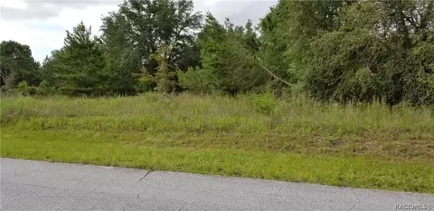 1696 E Westgate Ln, Hernando, FL 34442 photo 3