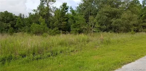 1696 E Westgate Ln, Hernando, FL 34442 photo 2