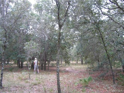 6218 S Nutshell Ter, Lecanto, FL 34461 photo 9