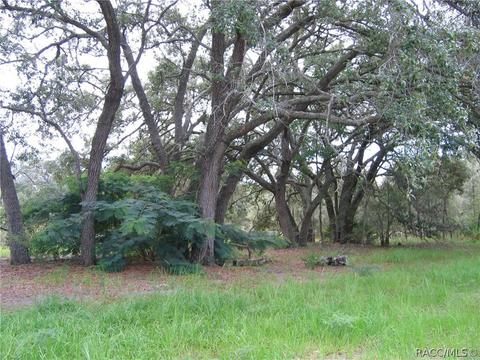 6218 S Nutshell Ter, Lecanto, FL 34461 photo 14