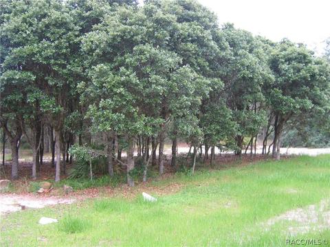 6218 S Nutshell Ter, Lecanto, FL 34461 photo 12