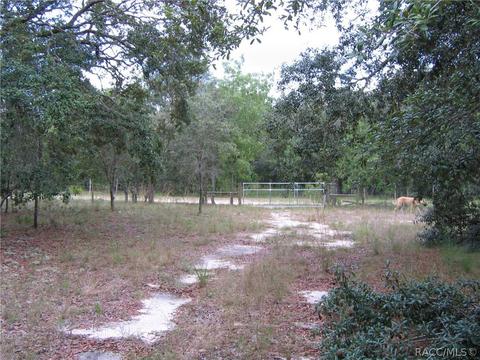6218 S Nutshell Ter, Lecanto, FL 34461 photo 8