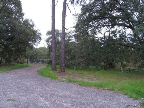 6218 S Nutshell Ter, Lecanto, FL 34461 photo 5