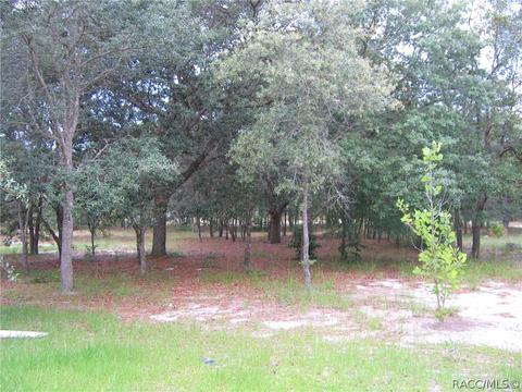6218 S Nutshell Ter, Lecanto, FL 34461 photo 6