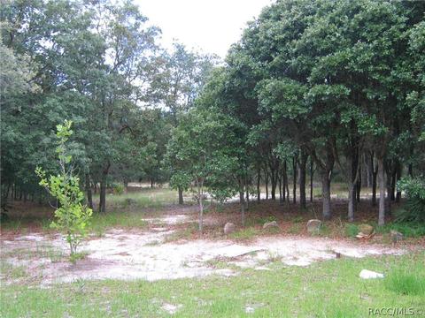 6218 S Nutshell Ter, Lecanto, FL 34461 photo 11