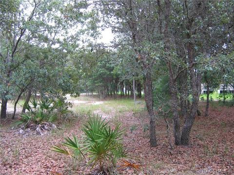 6218 S Nutshell Ter, Lecanto, FL 34461 photo 10