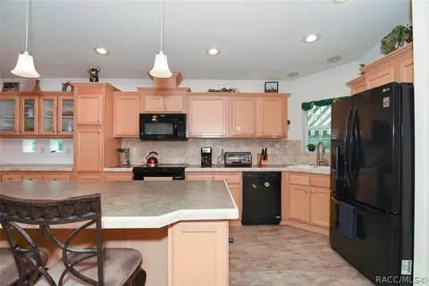 2238 N Fatima Ave, Hernando, FL 34442 photo 18