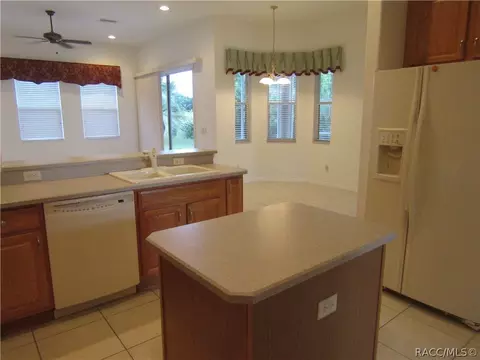 1004 W Rollingwood Ct, Hernando, FL 34442 photo 5