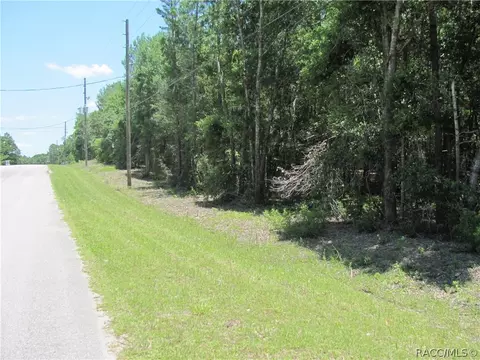 675 E Overdrive Cir, Hernando, FL 34442 photo 1
