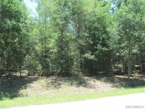 675 E Overdrive Cir, Hernando, FL 34442 photo 3