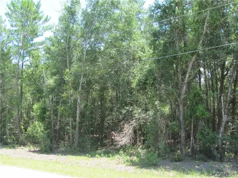 675 E Overdrive Cir, Hernando, FL 34442 photo 4