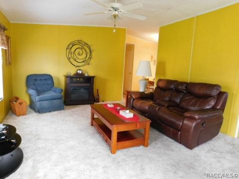 4320 E Alabama Ln, Hernando, FL 34442 photo 6