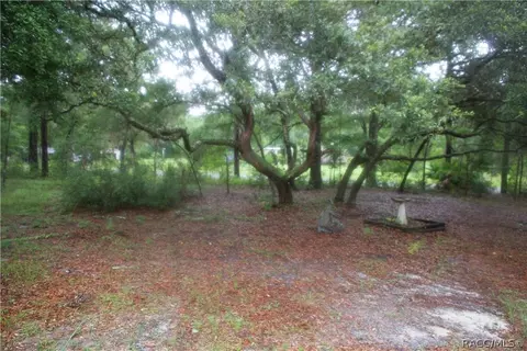 2813 E Fox Ct, Inverness, FL 34452 photo 32