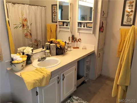 2545 E Loma Ct, Hernando, FL 34442 photo 17