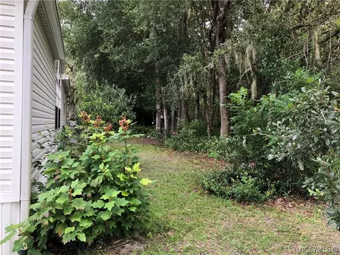 2545 E Loma Ct, Hernando, FL 34442 photo 40