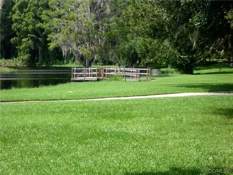 3673 Eagle Cove Ct, Hernando, FL 34442 photo 32