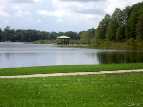 3673 Eagle Cove Ct, Hernando, FL 34442 photo 31